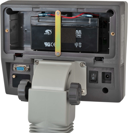 Весы CAS DB-II-60 (E) купить по низкой цене | МАКСПРОФИТ